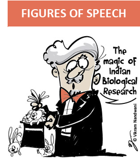 The 'magic' of scientific research